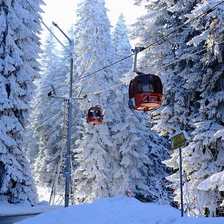 Your Place Borovets Eksteriør bilde